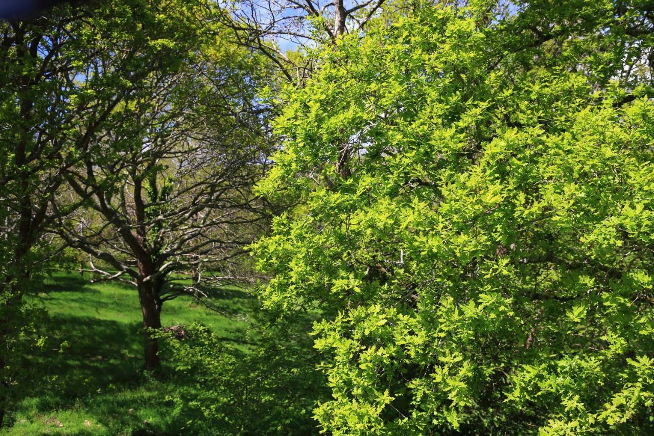 Aux Arbres Chanteurs Ploulech Kültér fotó
