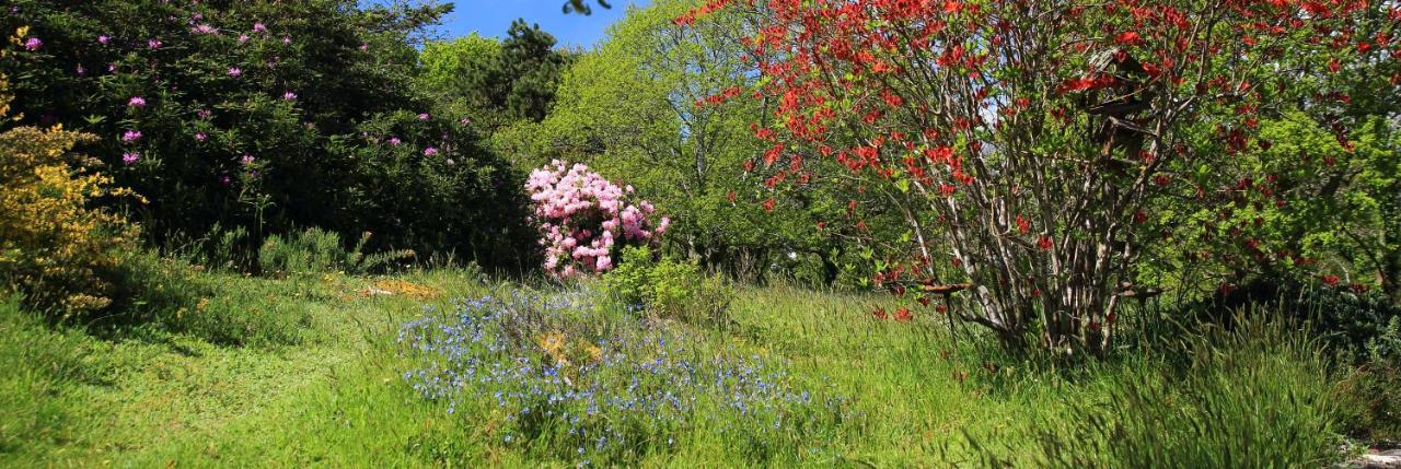 Aux Arbres Chanteurs Ploulech Kültér fotó